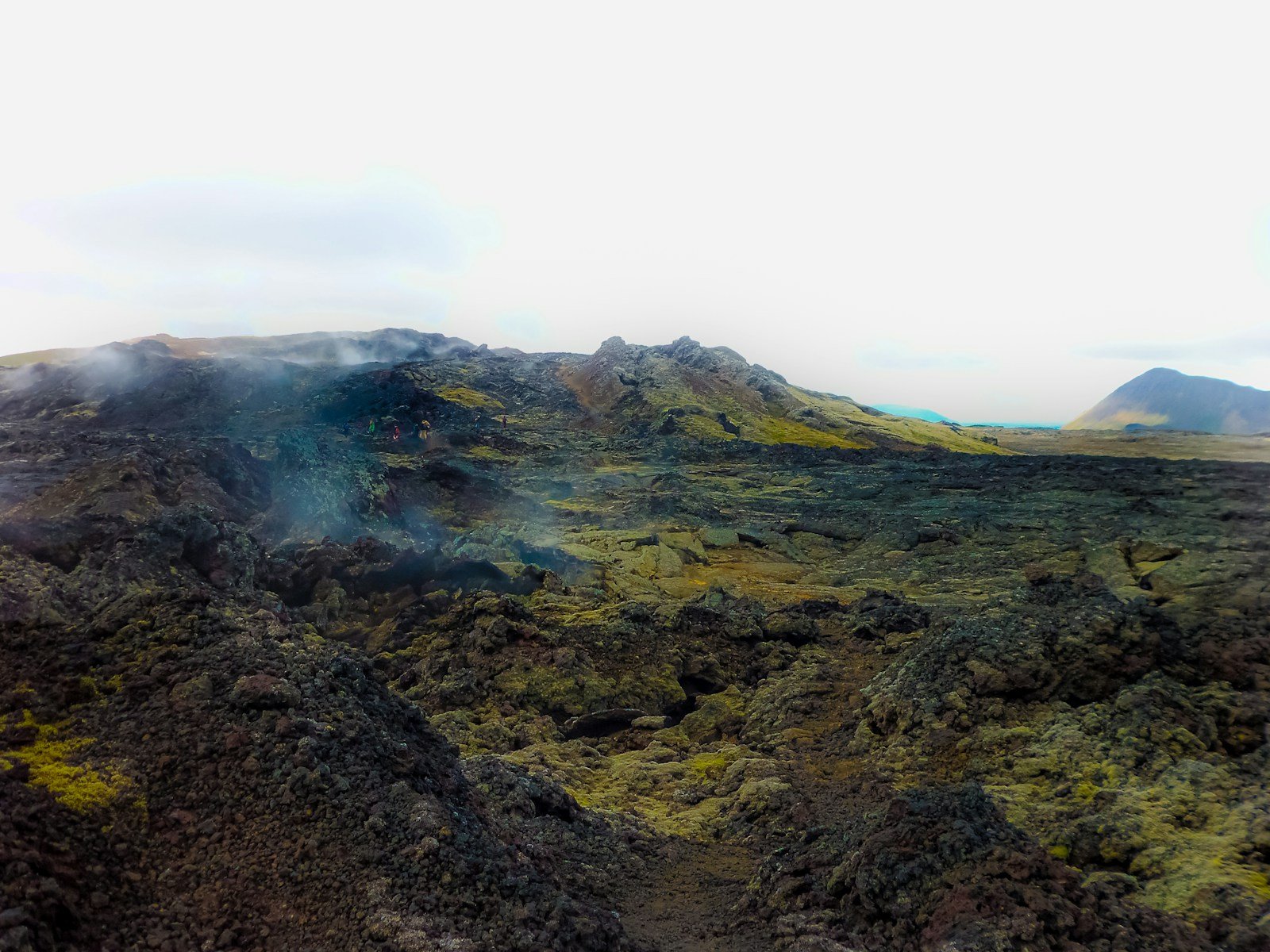 Allée de jardin couverte de gravier volcanique sombre