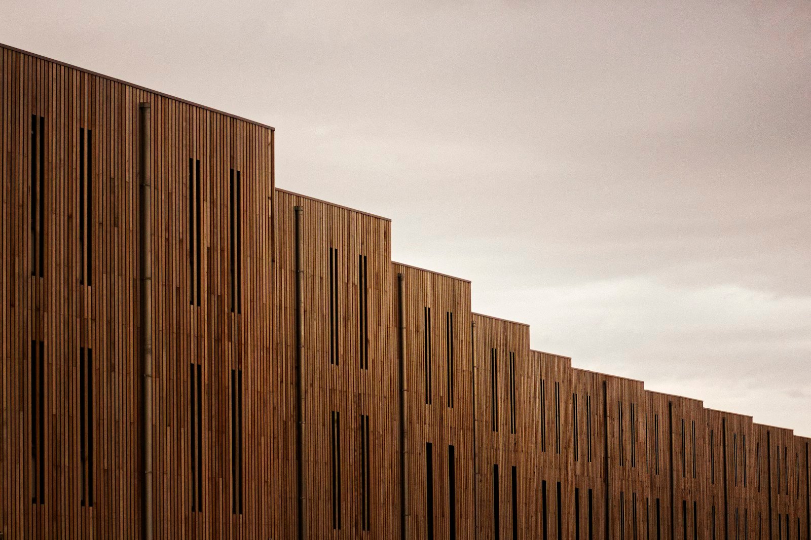 Bardage en bois brûlé à la surface noire et texturée