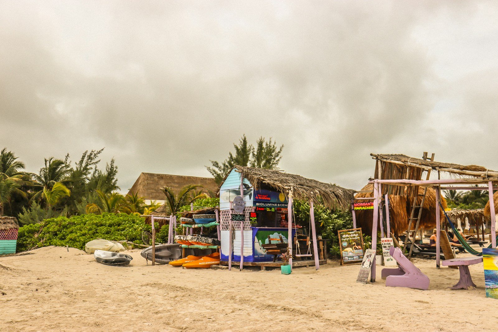 Carbet traditionnel en bois, structure ouverte typique des jardins antillais