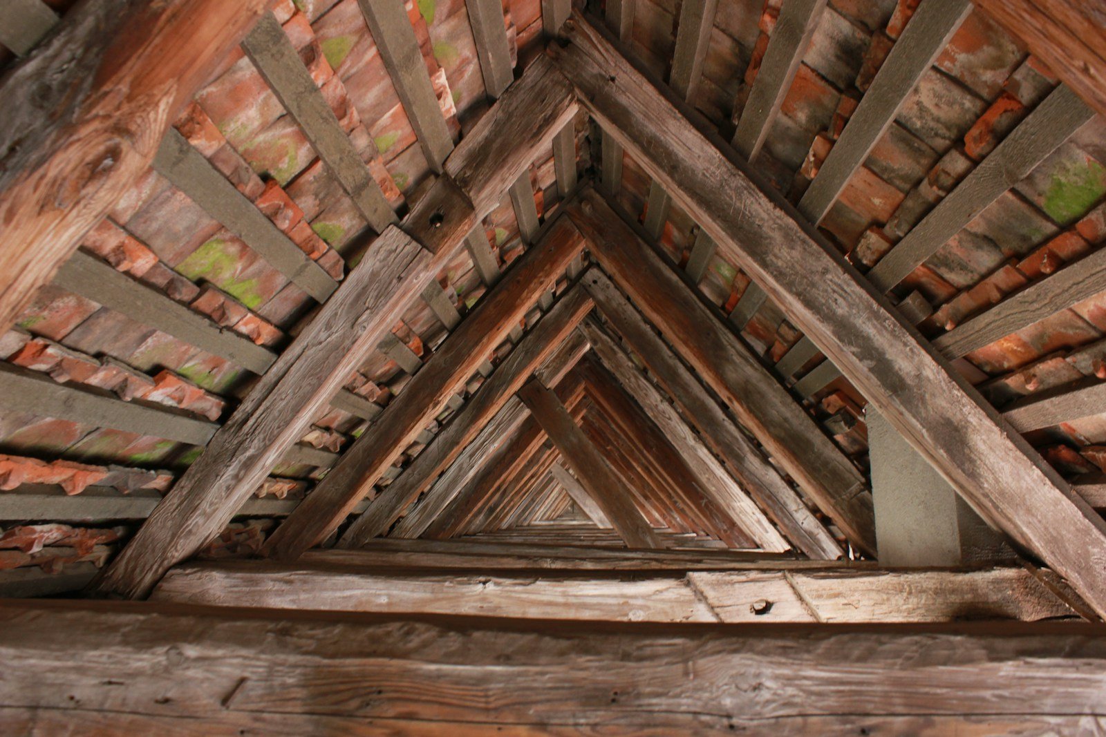 Charpente traditionnelle en bois massif vue depuis les combles