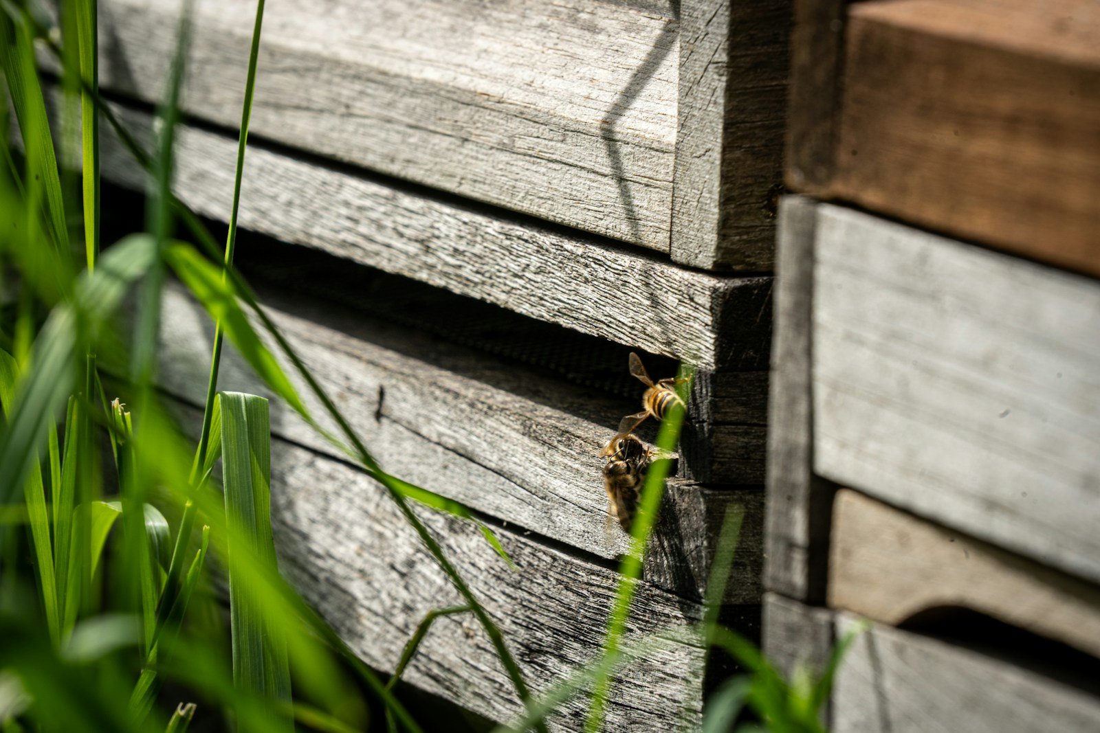Détail de lames de bardage en bois posées à recouvrement