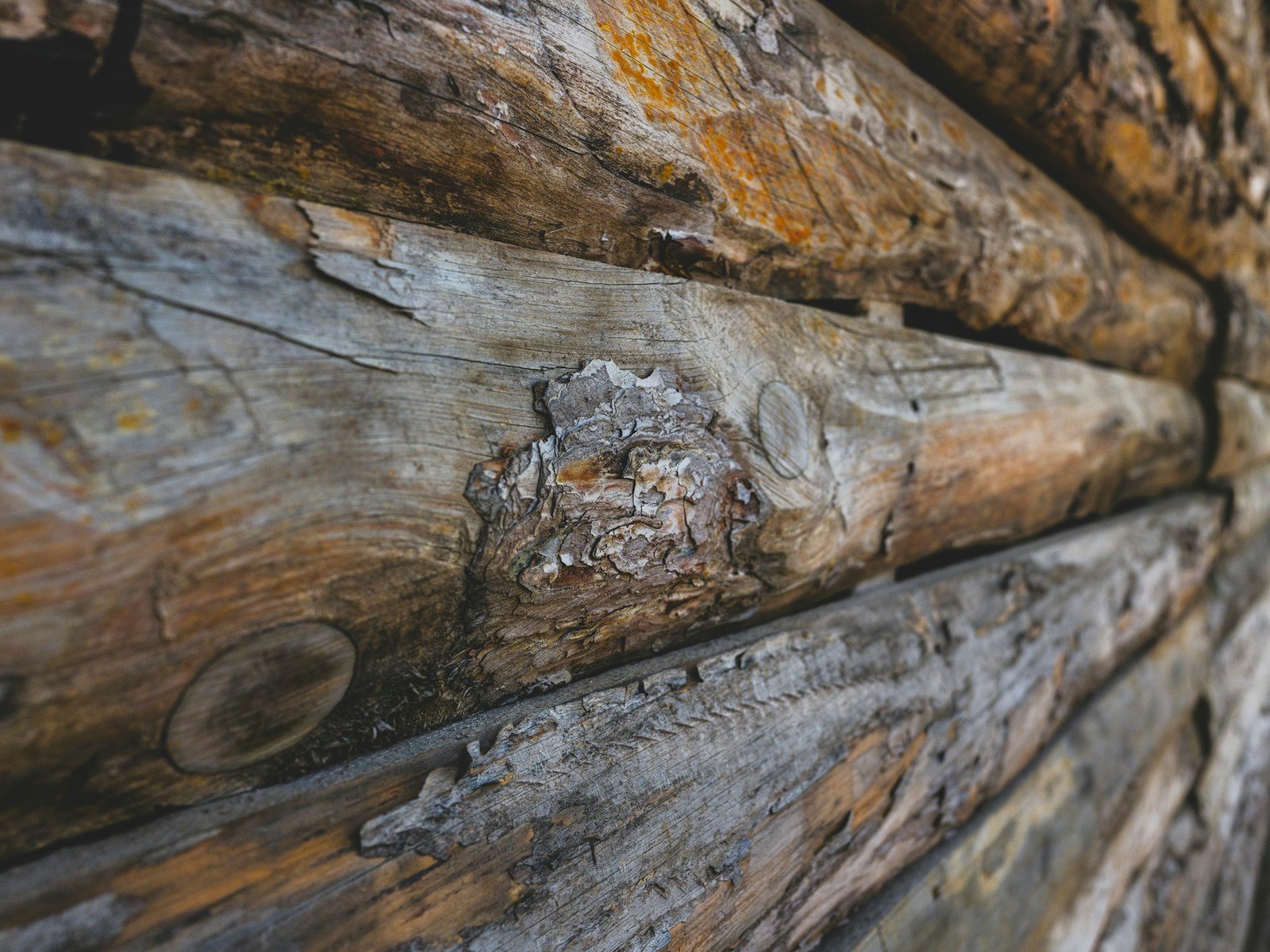 Détail d'un bardage en bois sur la façade d'un petit bungalow