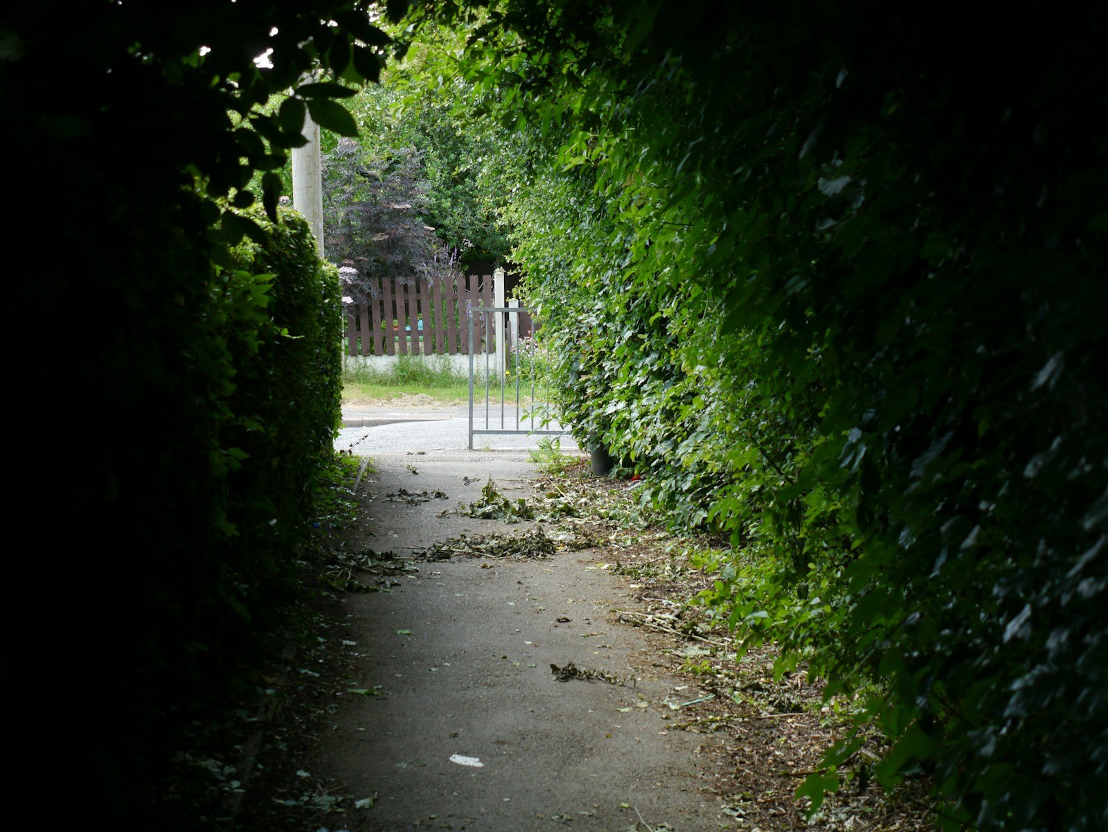 Forte averse tropicale sur une allée de jardin