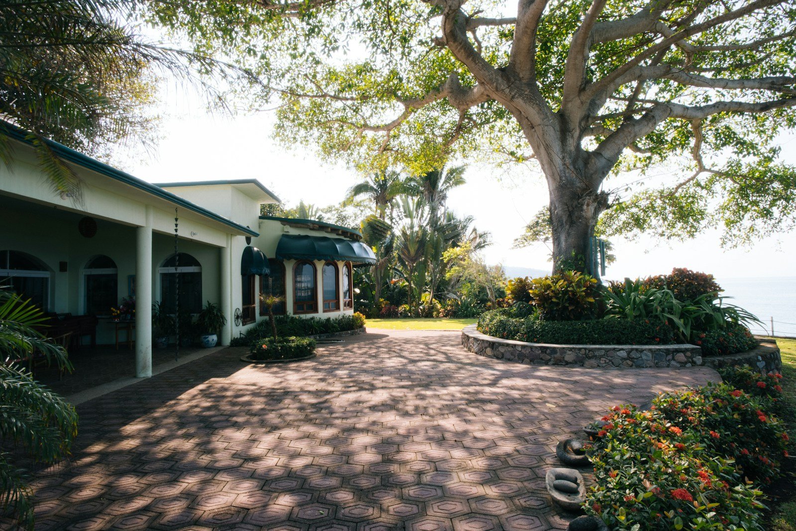 Jardin botanique d'un domaine colonial en Martinique