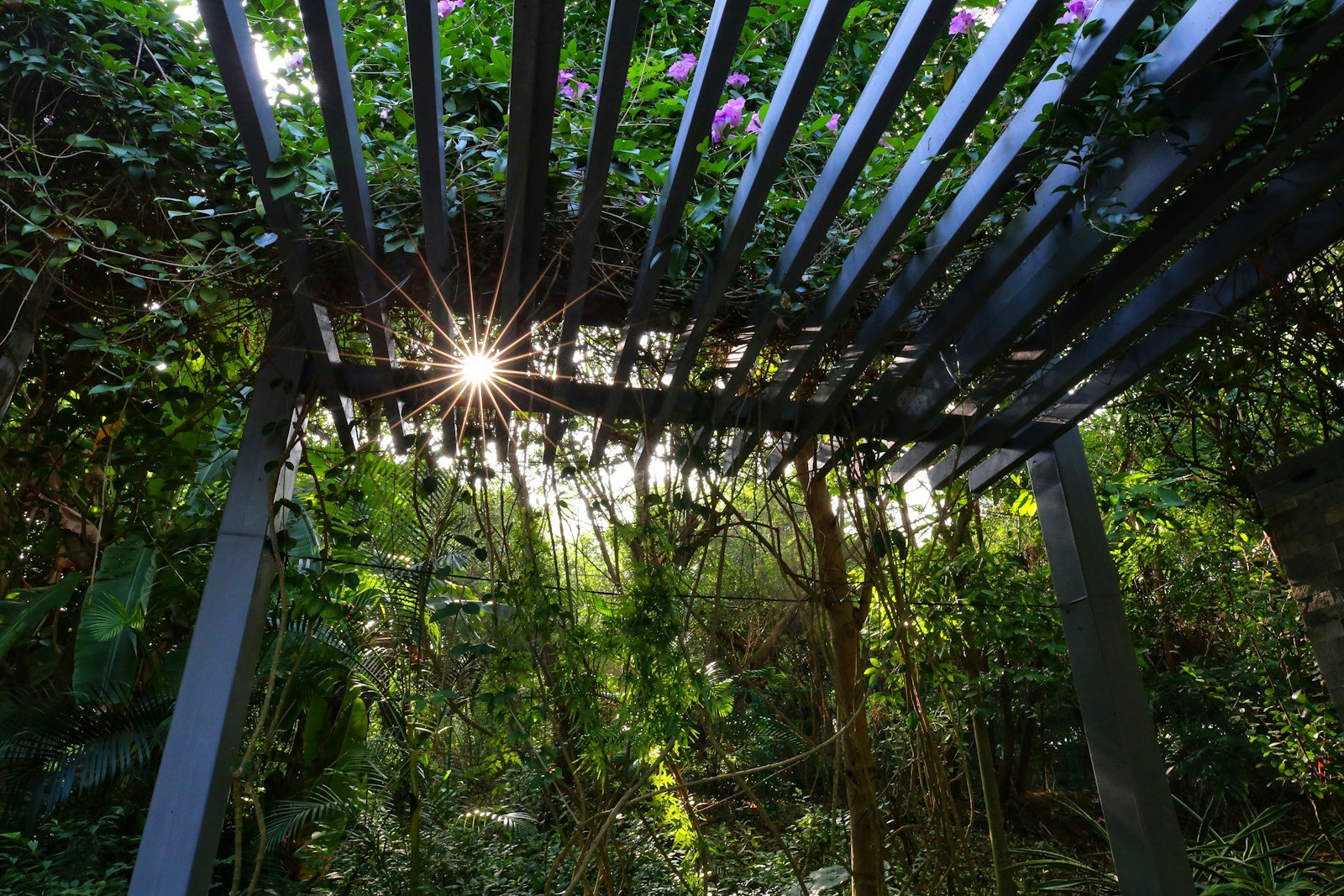 Lumière filtrée sous une structure d'ombre dans un jardin tropical
