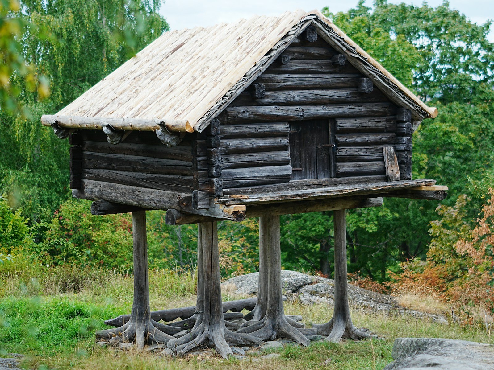 Maison en bois surélevée sur plots au-dessus du terrain