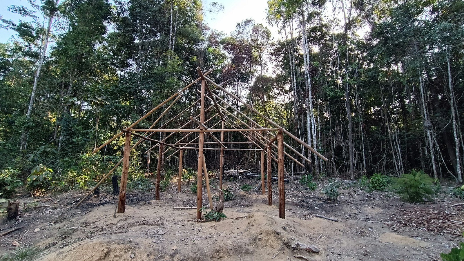 Ossature bois en cours de montage sous un climat tropical