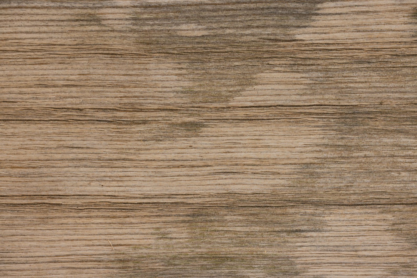 Patine grise naturelle du bois de terrasse, vue de près