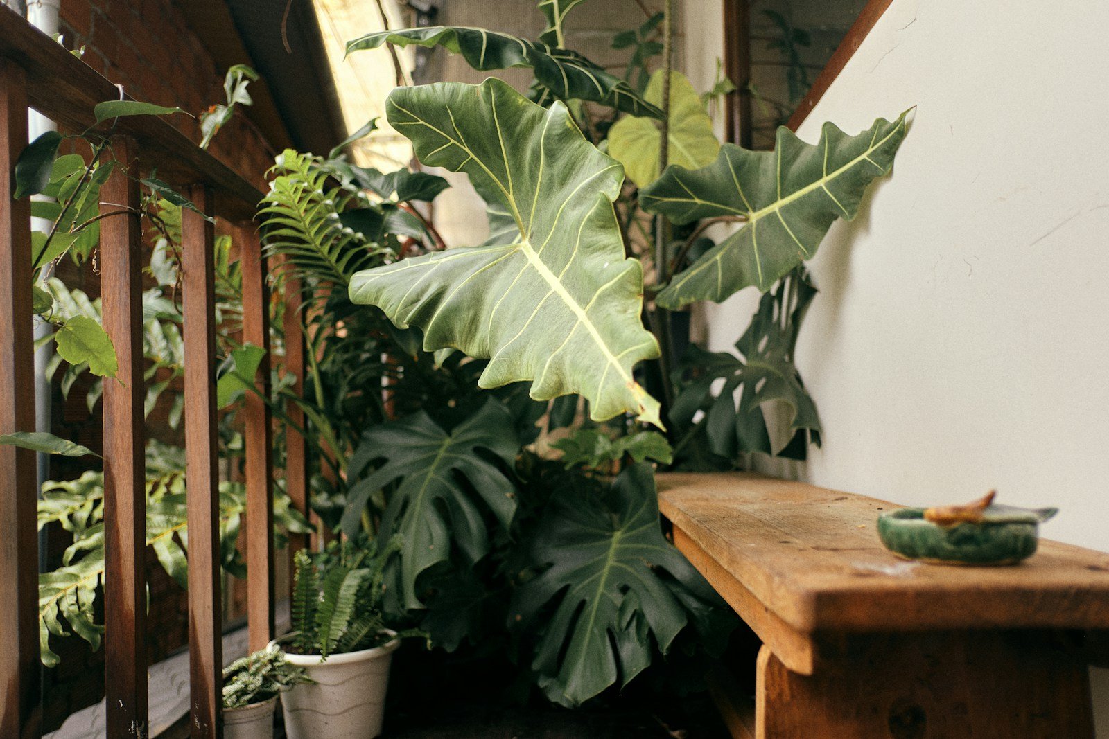 Terrasse contemporaine en bois prolongeant une maison rénovée