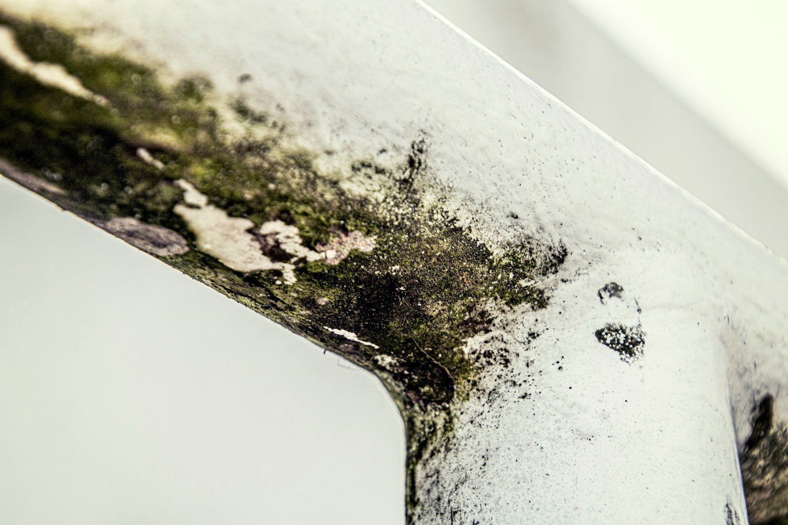 Trace d'humidité et début de moisissure dans l'angle d'un plafond